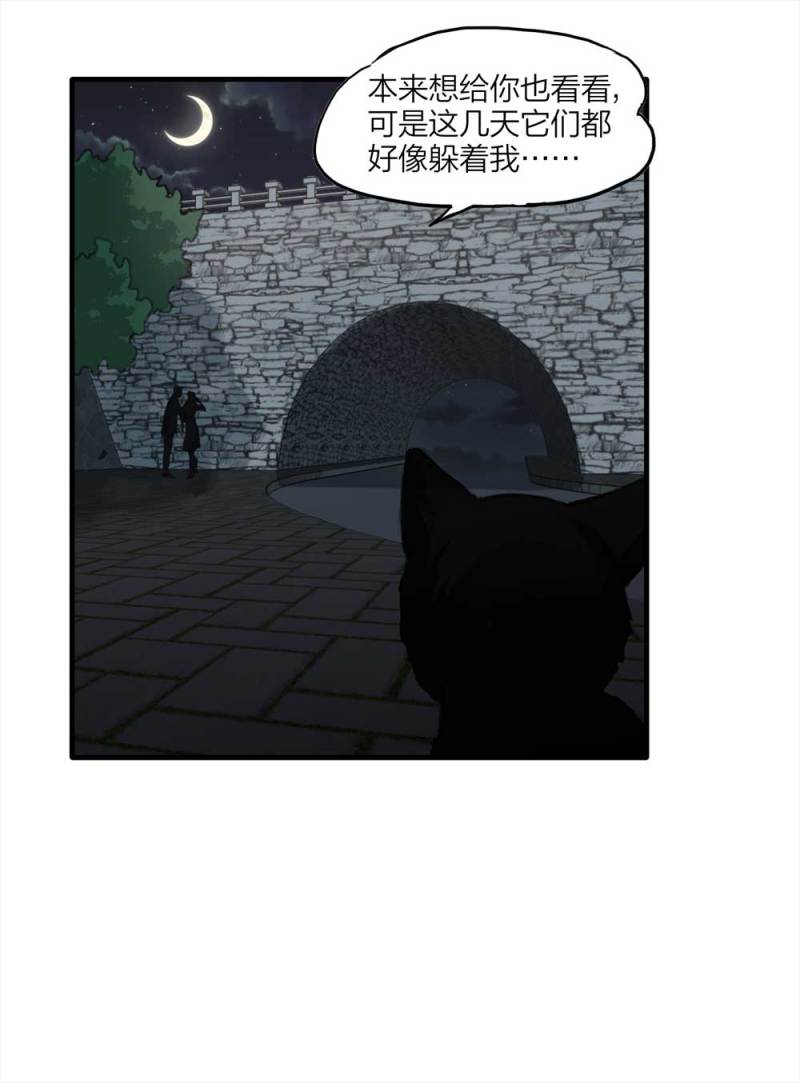《悬疑猫——大叔深夜故事集》097-情未了（下） 第12页