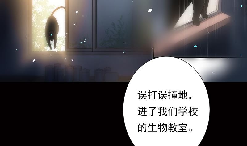 《南宫南》第16话 前因 第41页