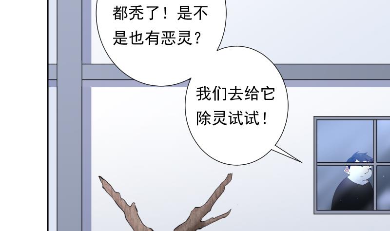 《南宫南》第36话 失误 第3页