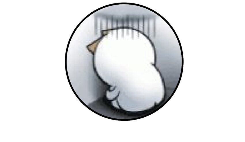 《大佬重返16岁》43 被发现了 第41页