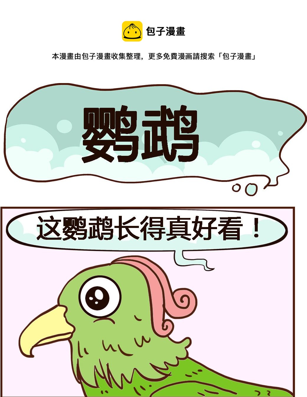 《我叫小纯洁》第087话 鹦鹉 第1页