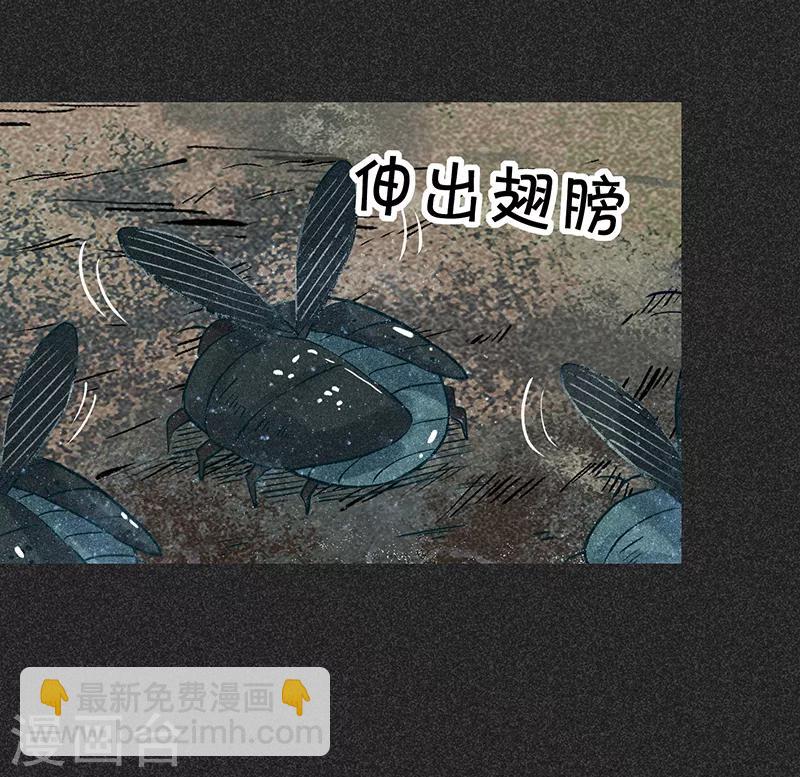 《我在泰国卖佛牌的那几年》第42话 活菩萨 第37页