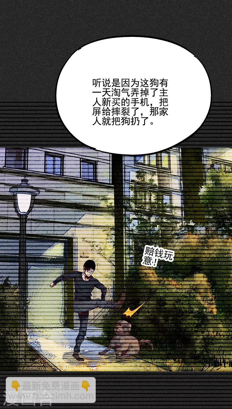 《我在泰国卖佛牌的那几年》第53话 恶人自有恶人磨 第11页