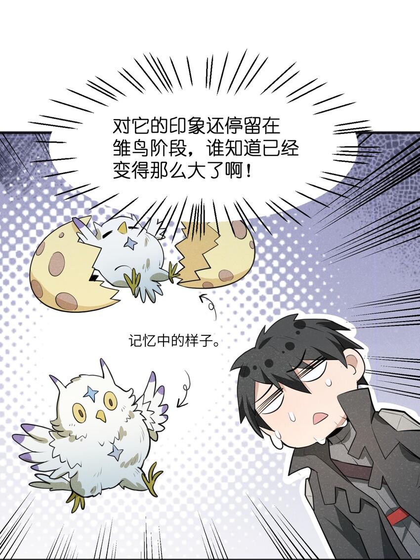 《成为初级冒险者的黑龙大人》018 不值一提 第30页