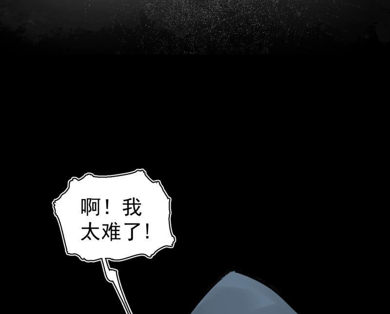 《女神直播间》启明星再启动？ 第3页
