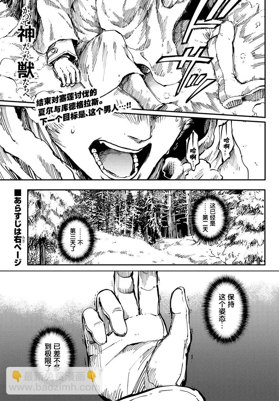 《猎兽神兵（致曾为神之众兽）》17 第3页