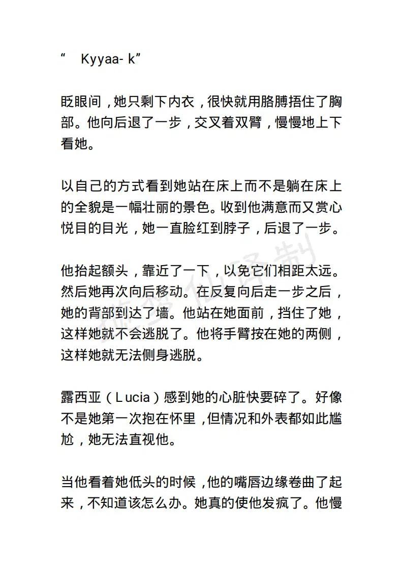 《小说版露西亚》第54章 第12页