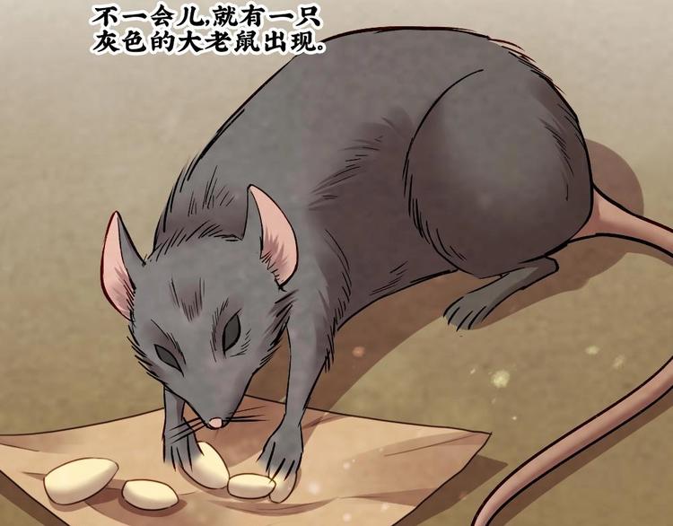 《聊斋梦谈》18 第17页