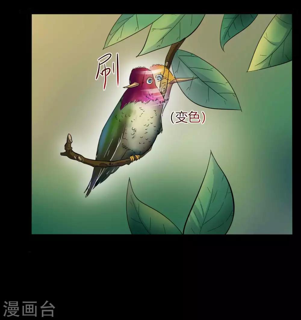 《赤夜脸谱》第15话 变脸鸟与指婆 第9页