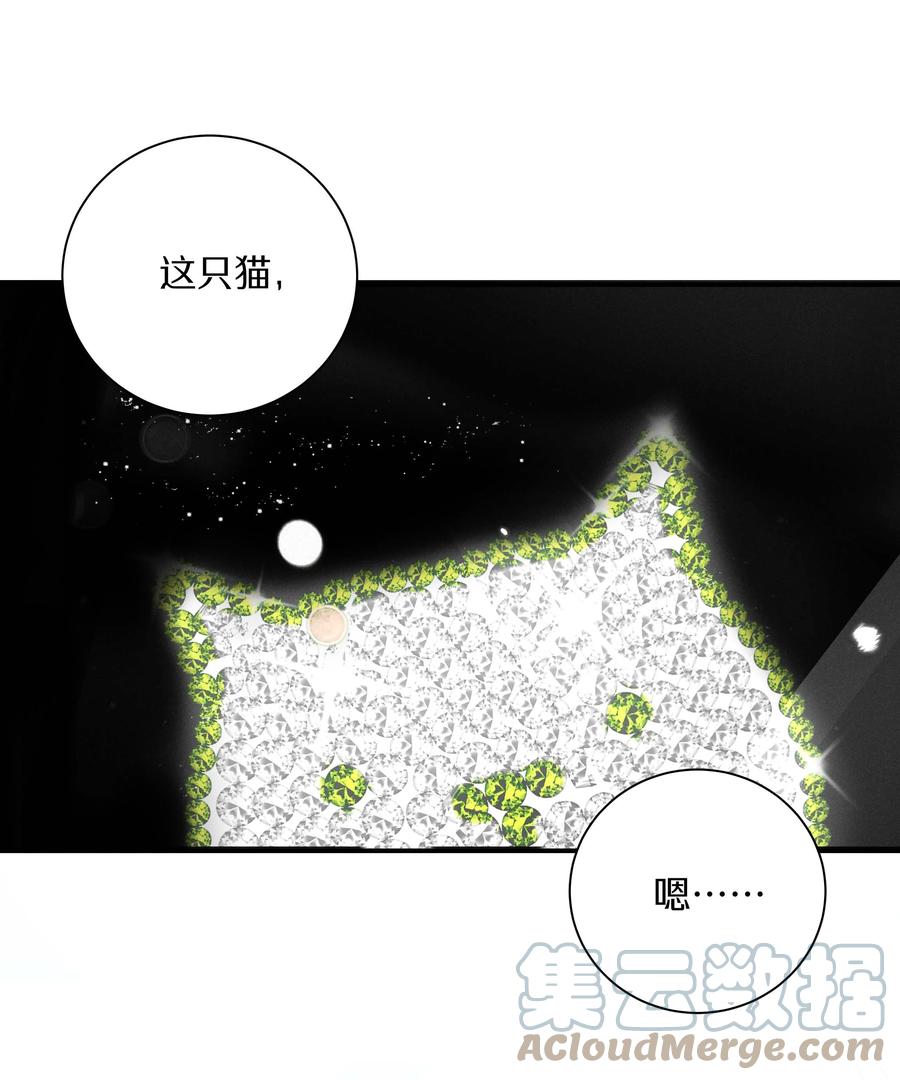 《请和优秀的我谈恋爱》032 第三十二话 我不需要 第3页