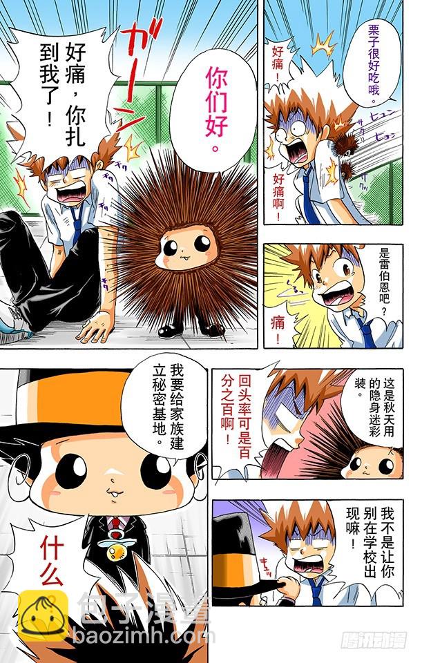 《家庭教师（全彩版）》云雀恭弥 第5页