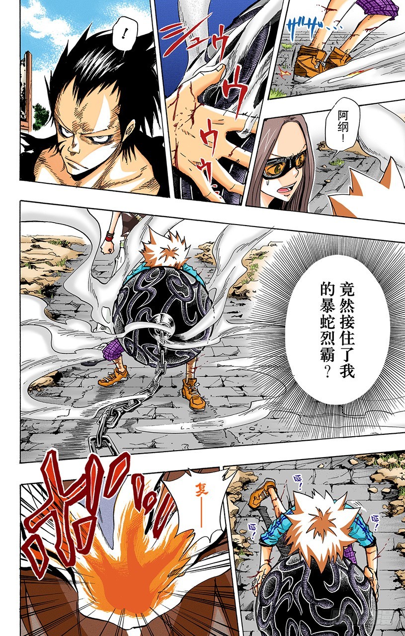 《家庭教师（全彩版）》最后一颗死气弹 第17页