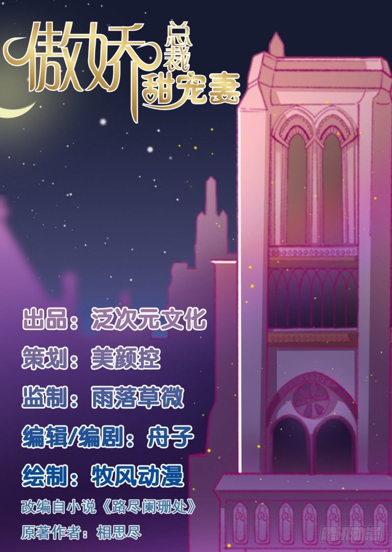 《傲娇总裁小甜妻》预告 第1页