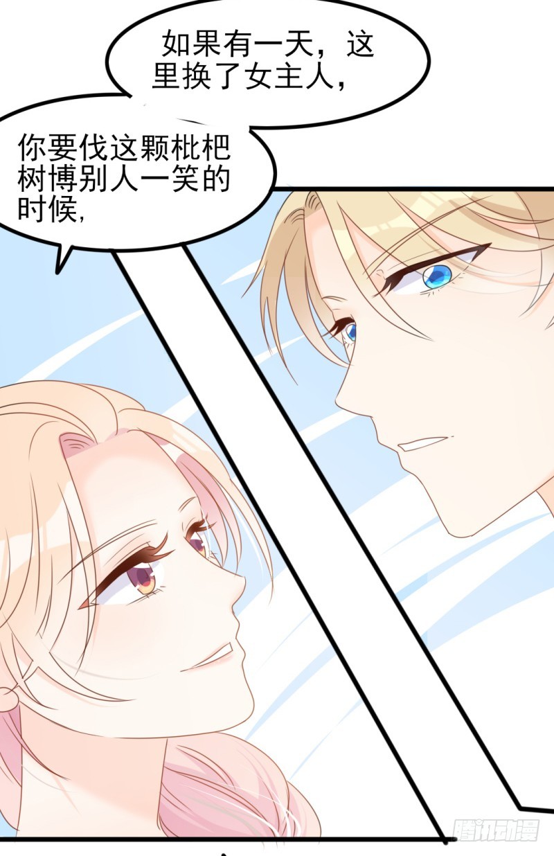 《傲娇总裁小甜妻》第34话 庭有枇杷树 第27页
