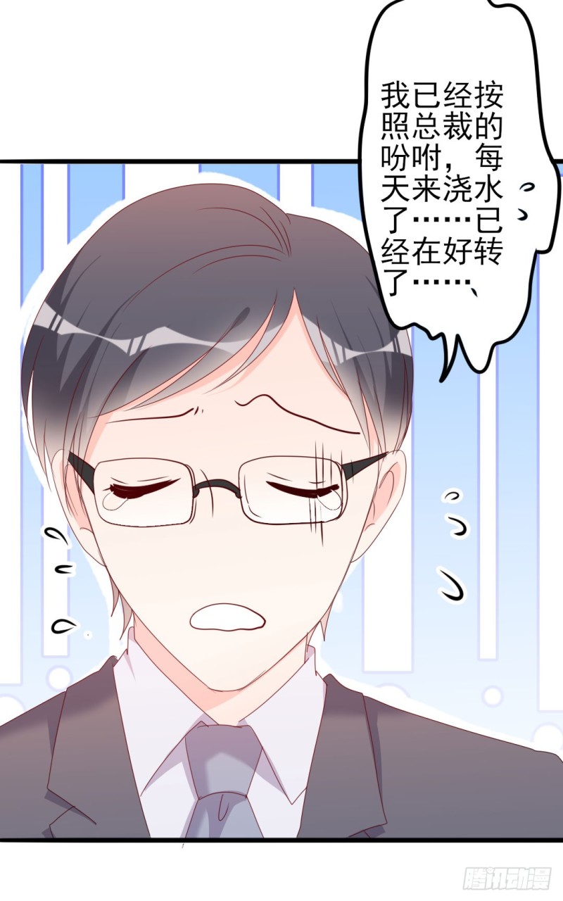 《傲娇总裁小甜妻》第49话 有你的地方，才是我的家 第33页