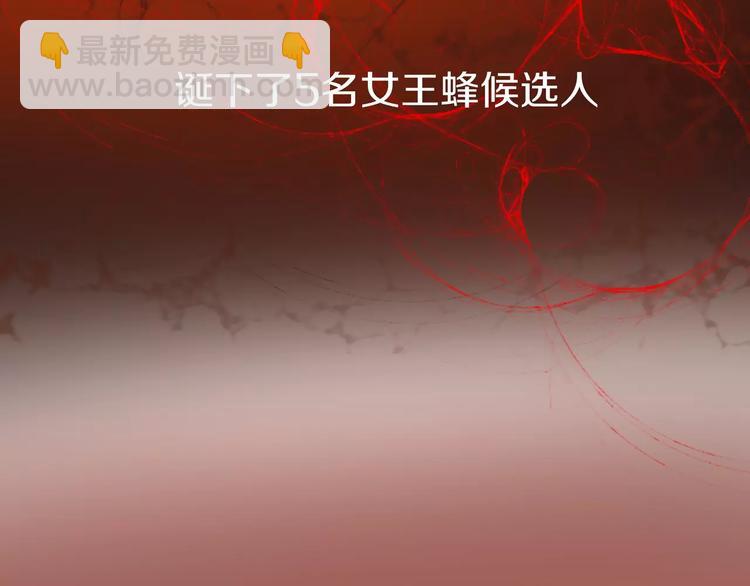 《蜂旅人》序章 玖月时月全新篇章 第13页