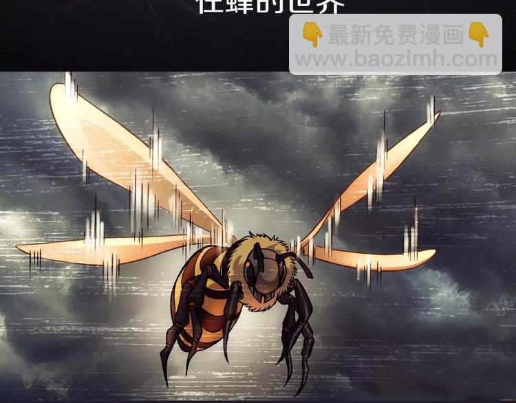《蜂旅人》序章 玖月时月全新篇章 第5页