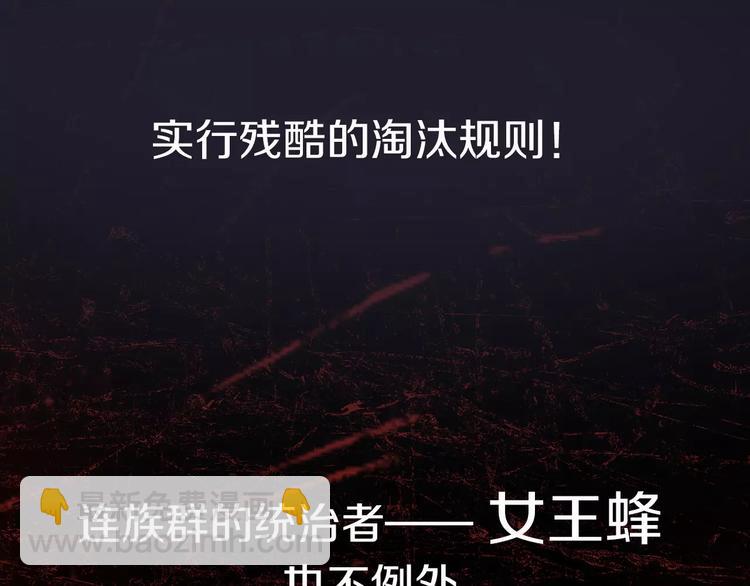 《蜂旅人》序章 玖月时月全新篇章 第6页