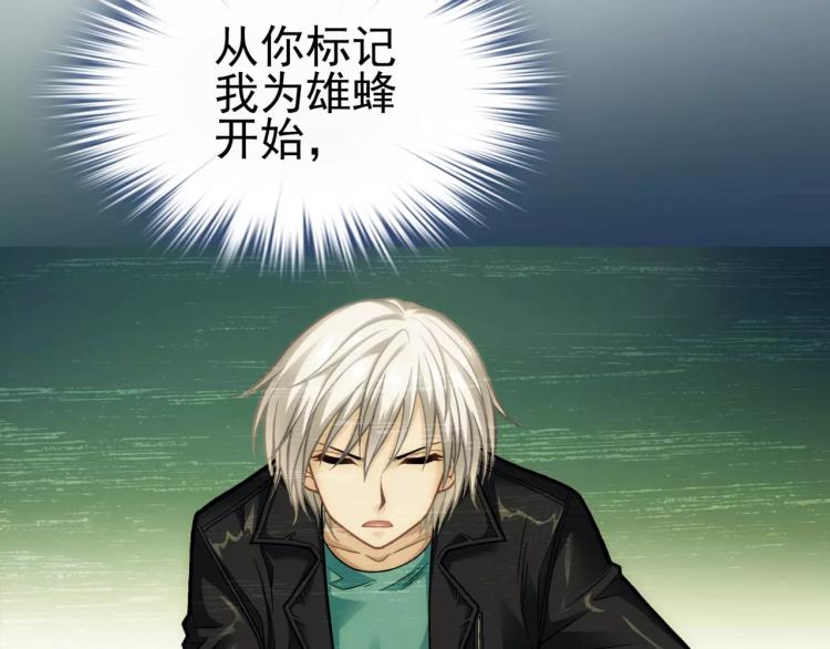 《蜂旅人》第14话 暴风雨的前夜 第50页