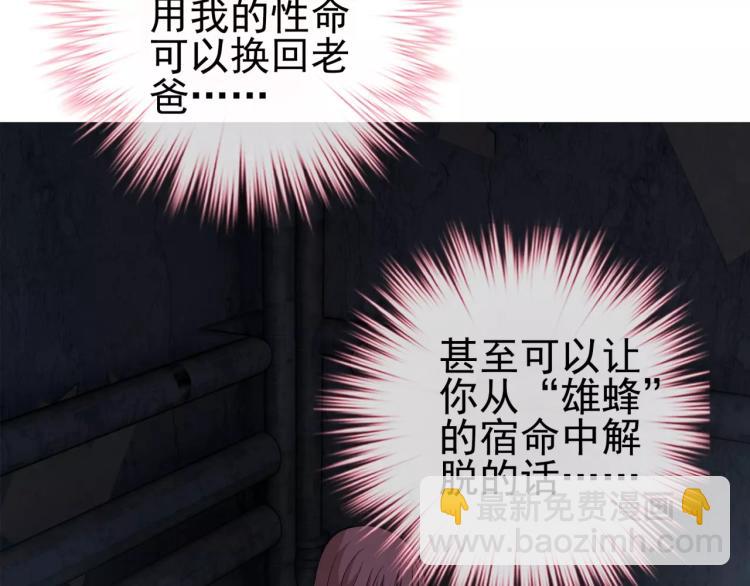 《蜂旅人》第28话 落跑的玖月 第47页