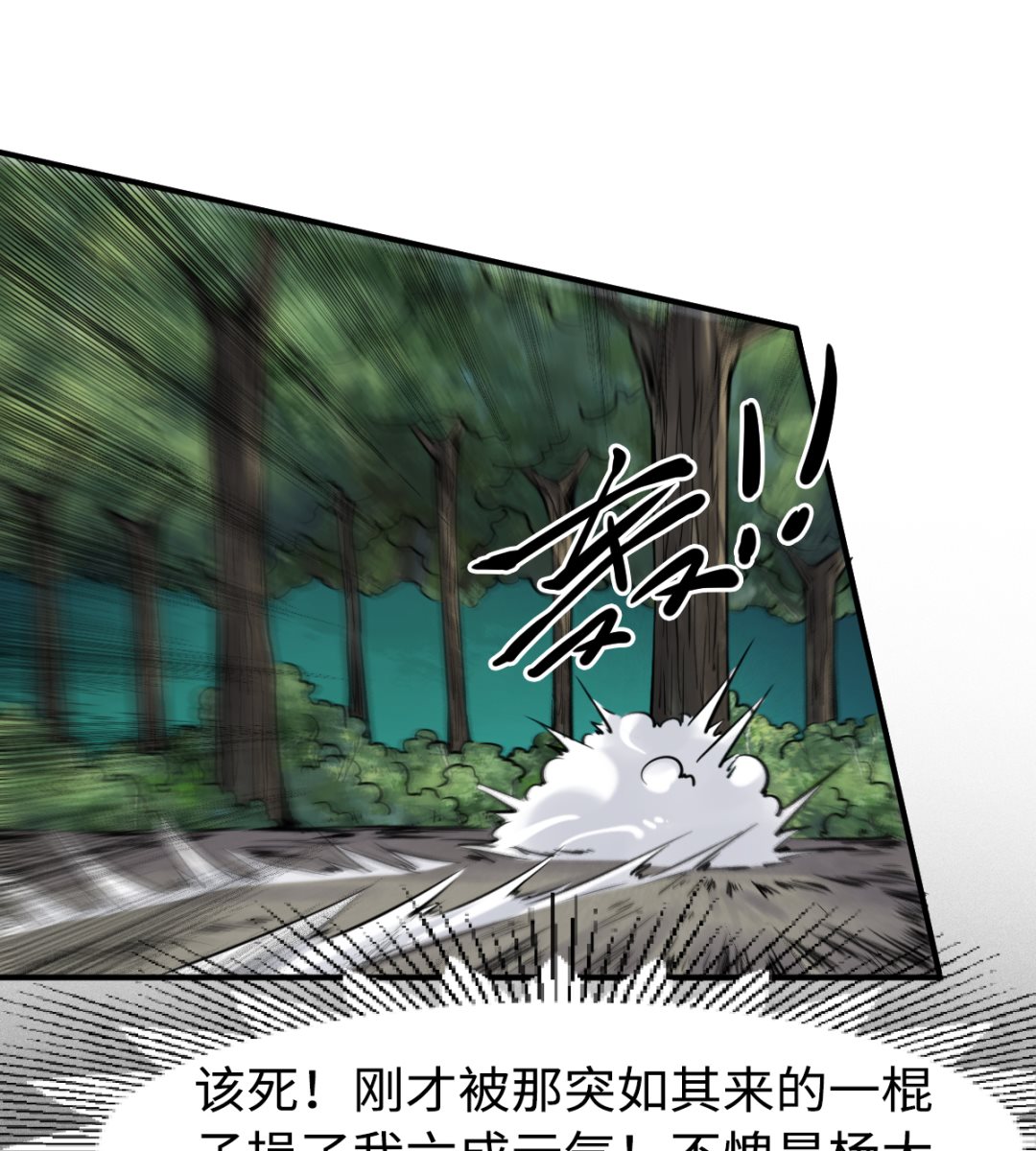 《渡劫失败了都怪你》039 穷追勐打 第29页