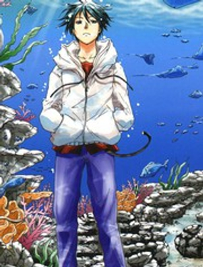 《GrandBlue》漫画封面图 - tl漫画
