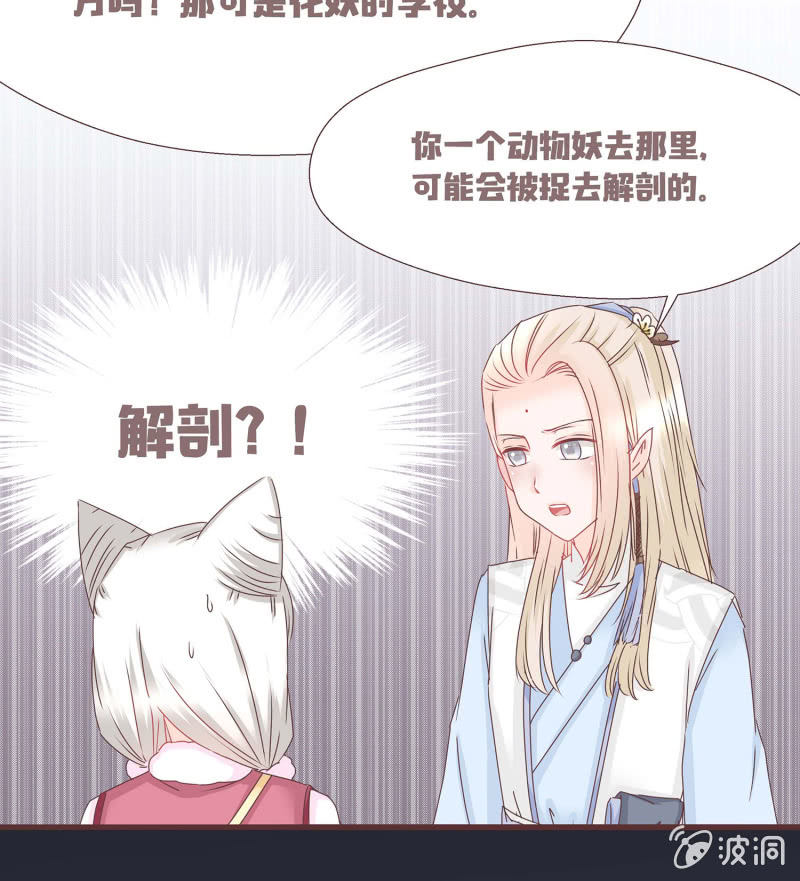 《花花小狐妖》狐妖？！ 第38页