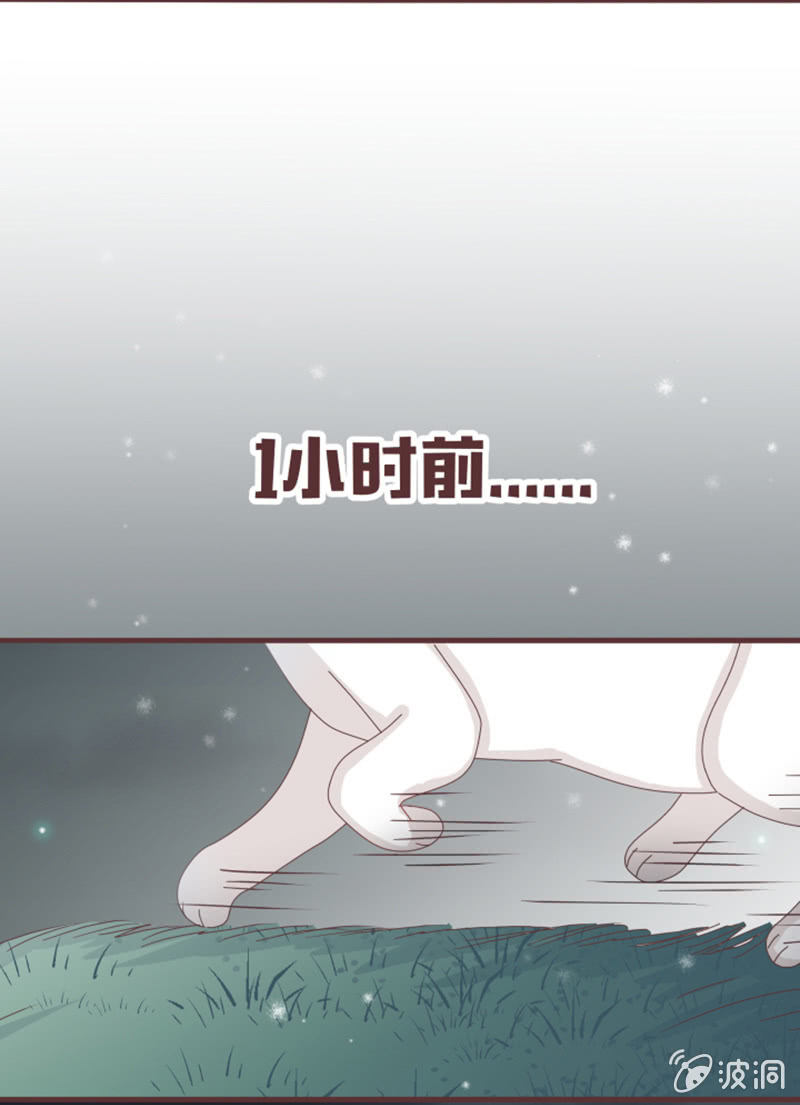 《花花小狐妖》闹别扭吃醋 第16页