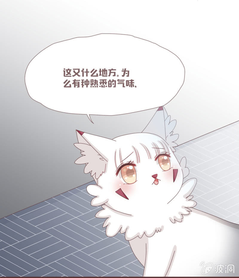 《花花小狐妖》闹别扭吃醋 第23页