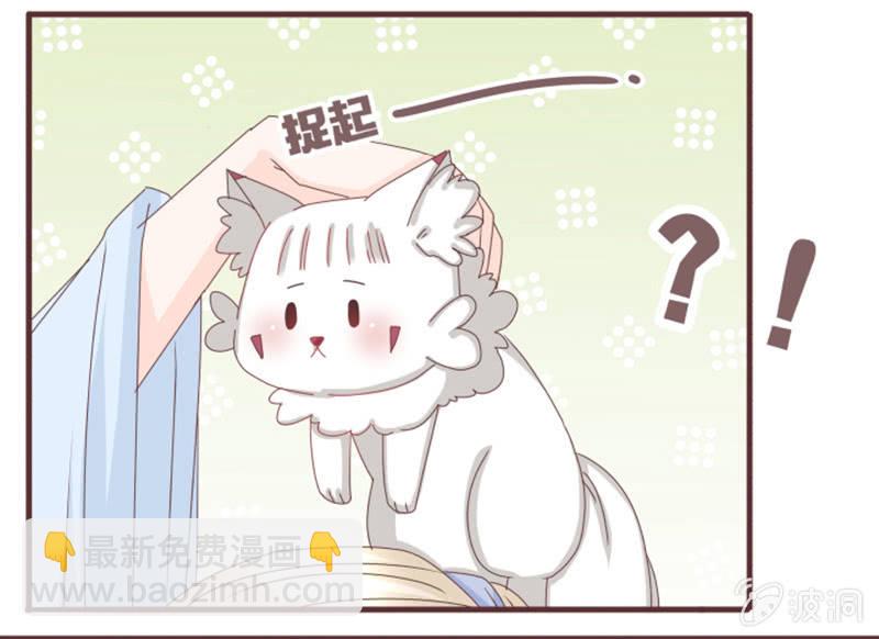 《花花小狐妖》大家一起找鸡吧！ 第7页