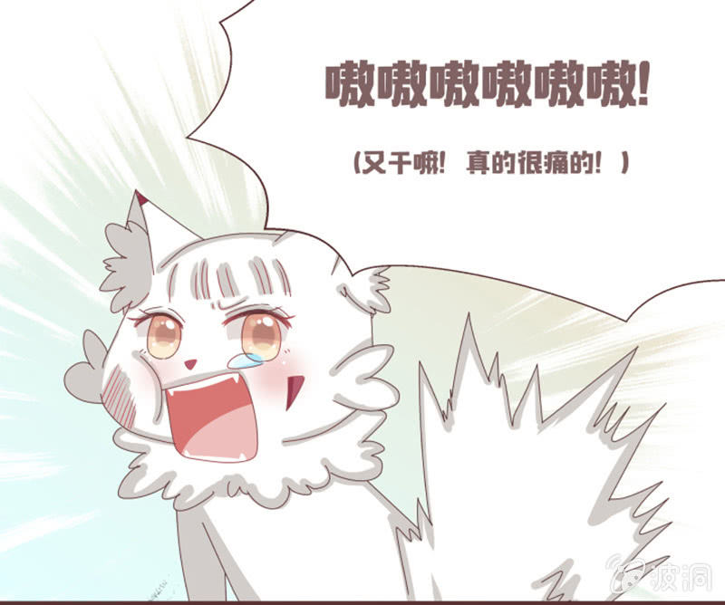 《花花小狐妖》大家一起找鸡吧！ 第9页