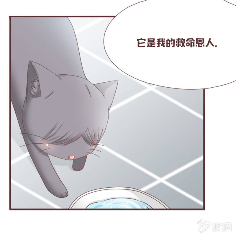 《花花小狐妖》这就误会化解了？！ 第11页