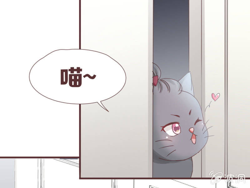 《花花小狐妖》这样是去不了百花院的 第5页