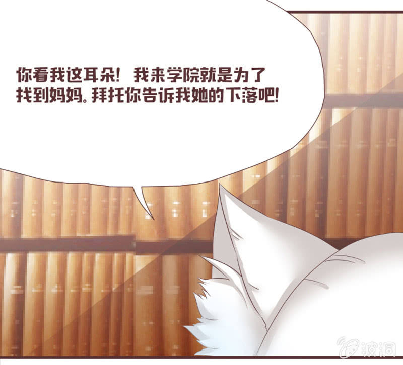 《花花小狐妖》花灵大会到底是？ 第19页