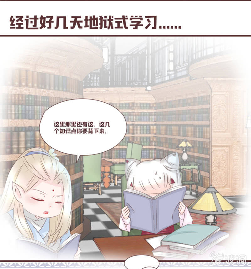 《花花小狐妖》花灵大会到底是？ 第32页