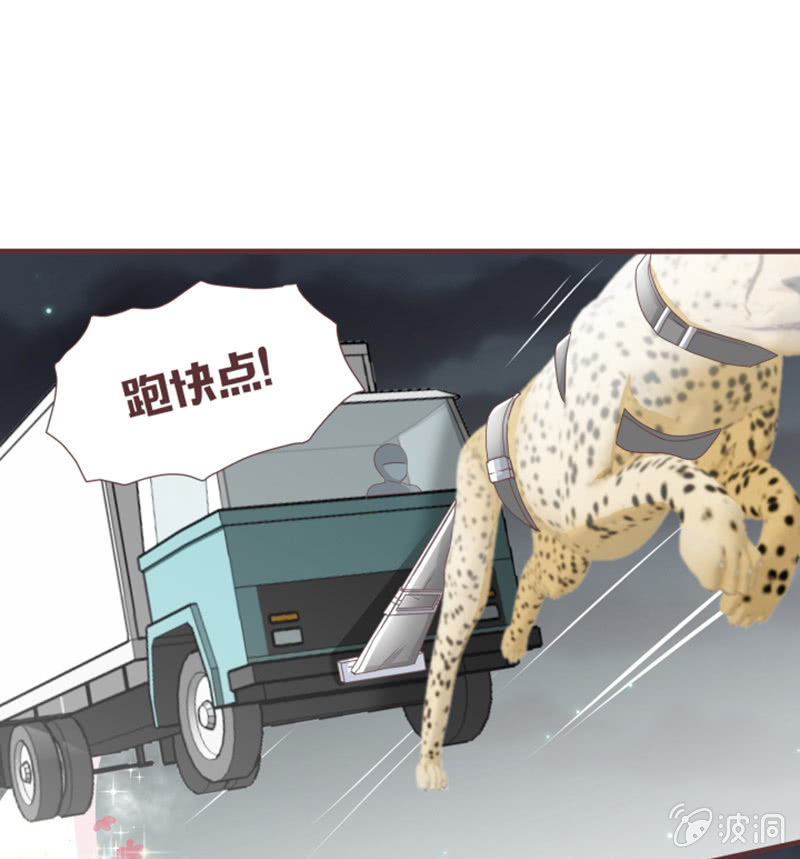 《花花小狐妖》咦？你怎么来了！ 第19页