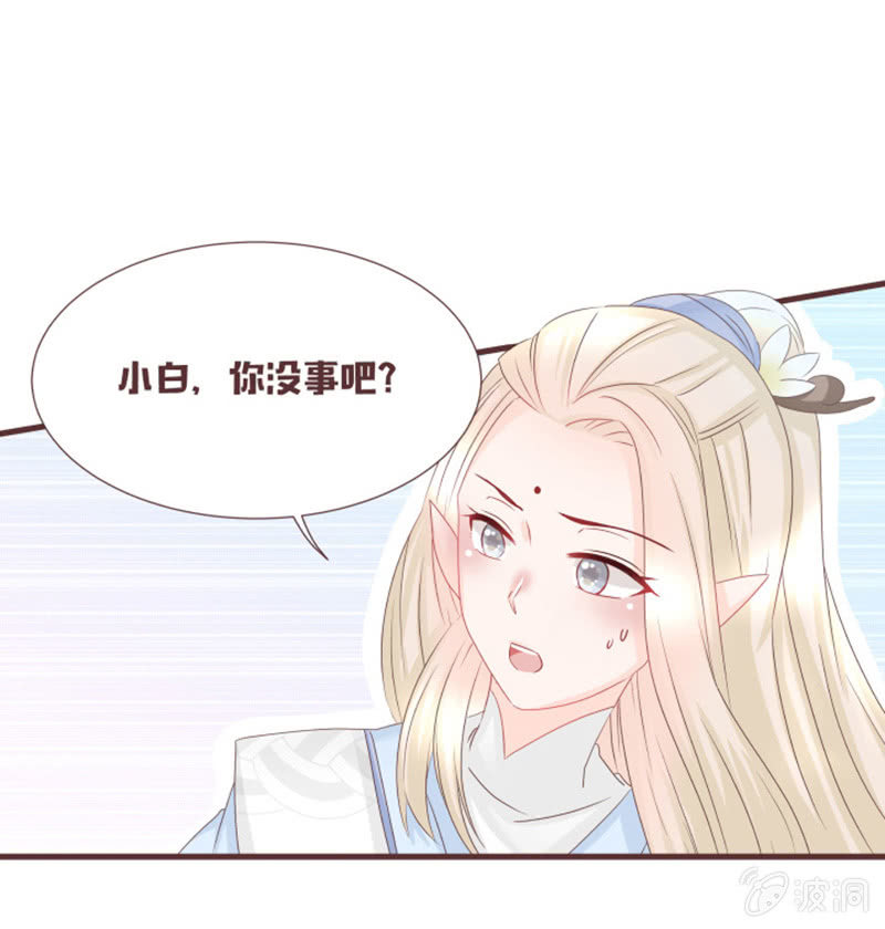 《花花小狐妖》实践考试？ 第4页