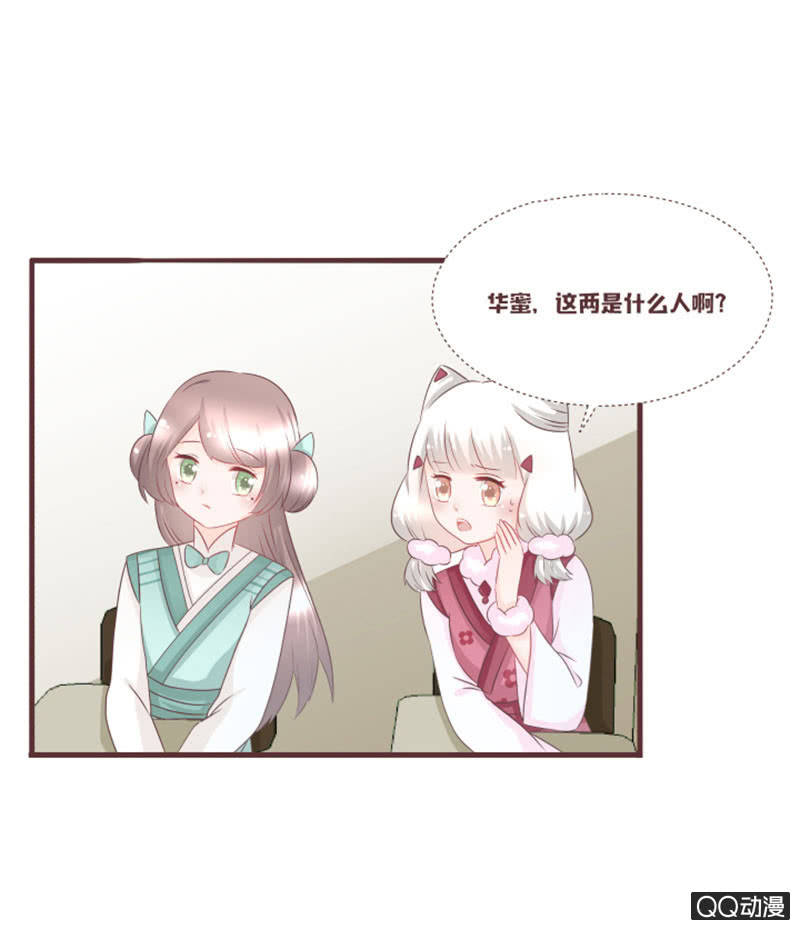 《花花小狐妖》百花院的奇怪兄妹 第14页