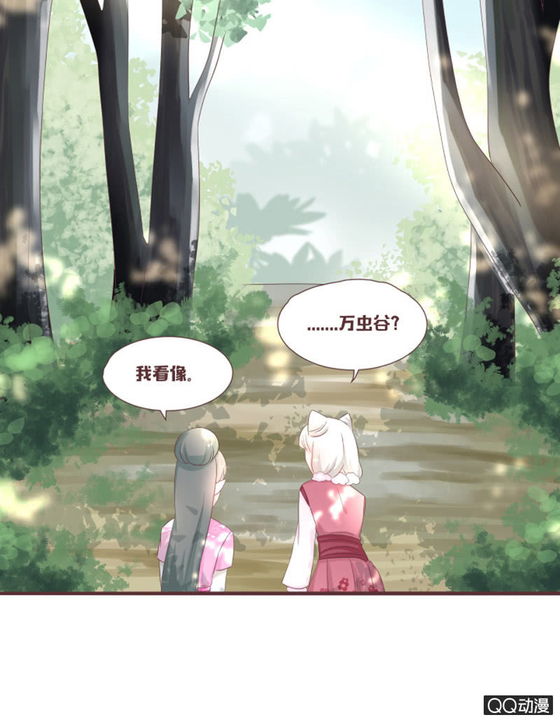 《花花小狐妖》灵谷城在哪儿？ 第19页