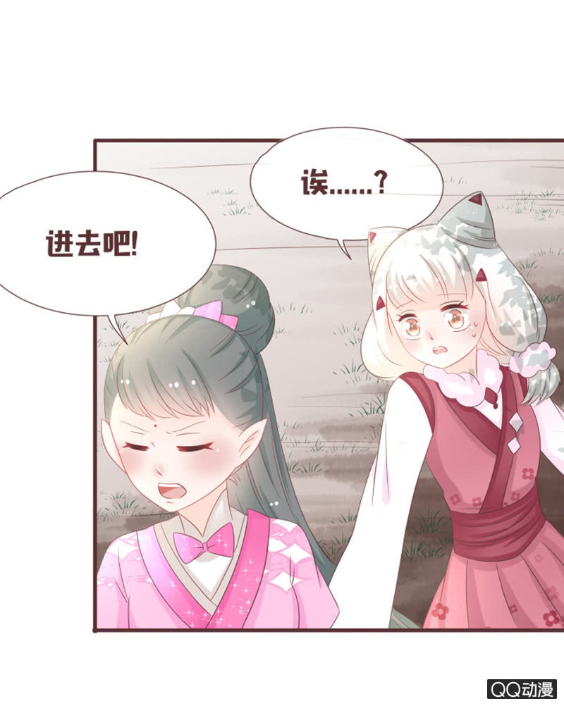 《花花小狐妖》灵谷城在哪儿？ 第4页
