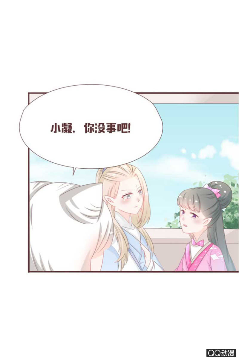 《花花小狐妖》花灵大会临近！ 第6页