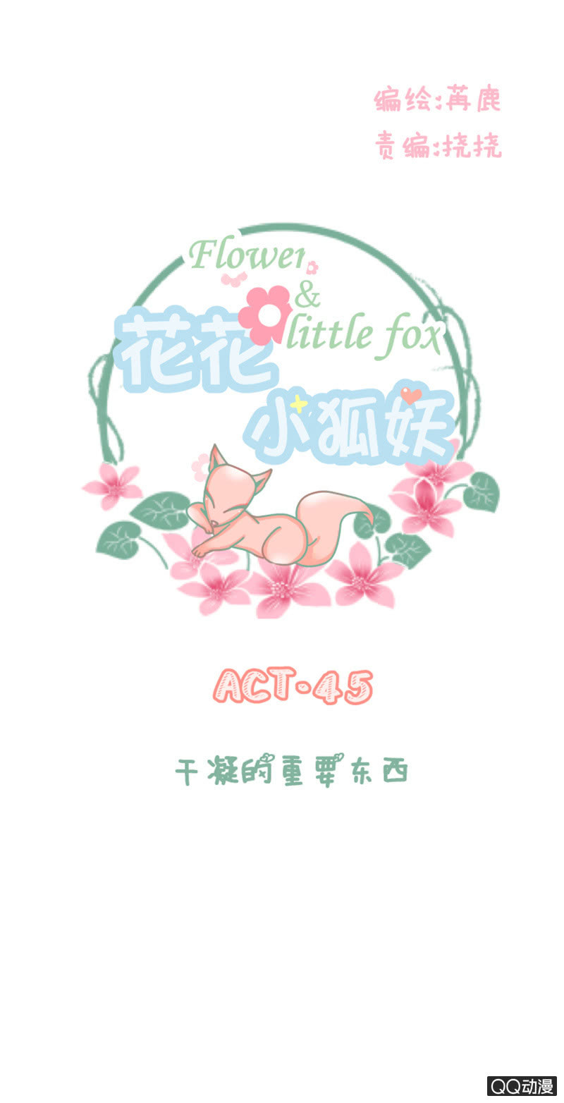 《花花小狐妖》干凝的重要东西 第1页