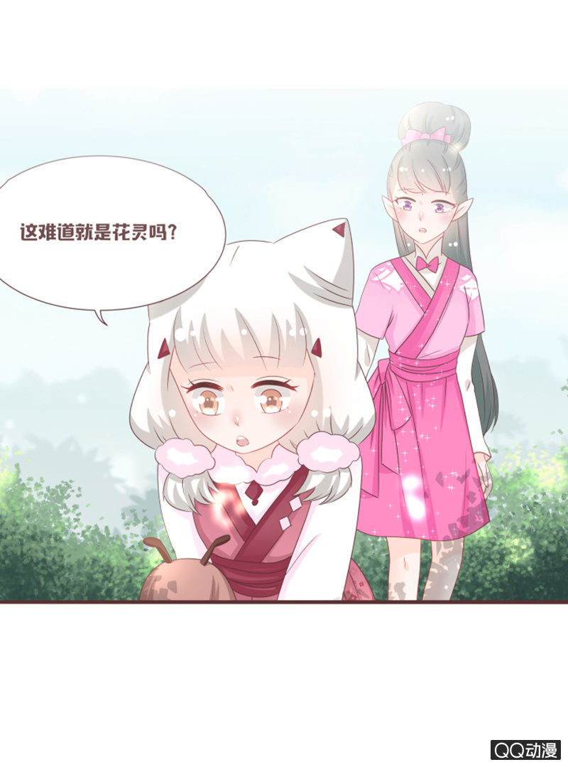 《花花小狐妖》干凝的重要东西 第2页