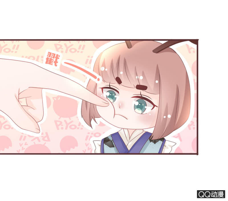 《花花小狐妖》干凝的重要东西 第3页