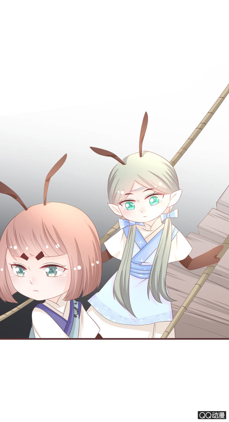 《花花小狐妖》大家都这么厉害的吗？！ 第3页