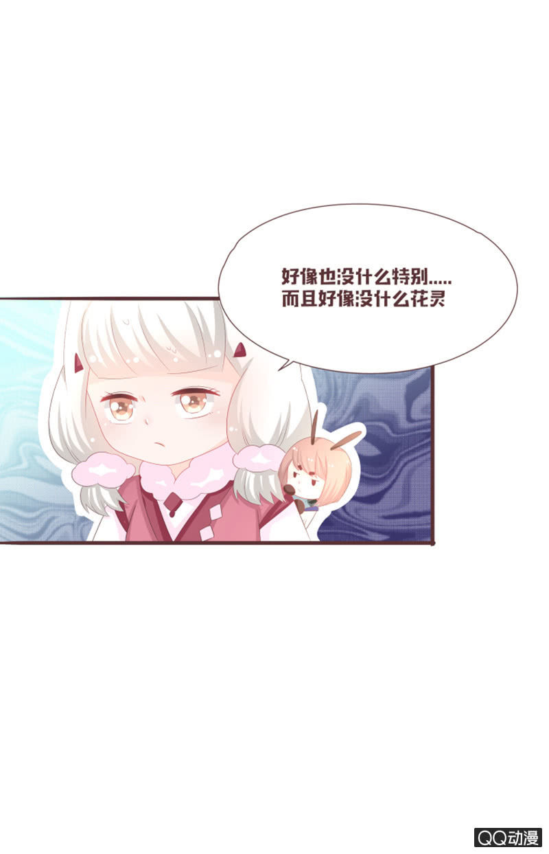 《花花小狐妖》准备花灵大会！ 第4页