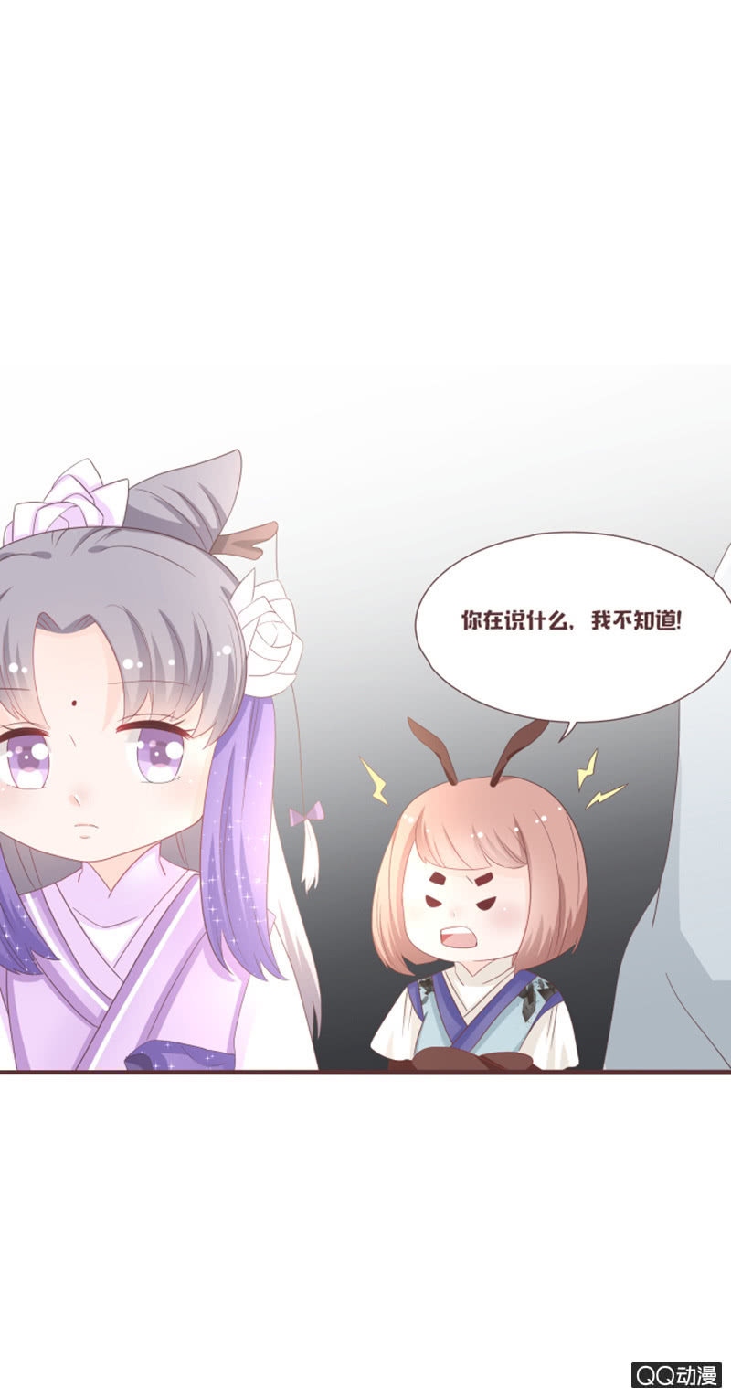 《花花小狐妖》我就是你的花灵 第3页