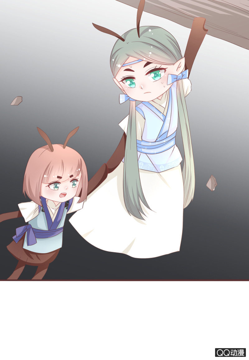 《花花小狐妖》别装了，我都知道 第6页