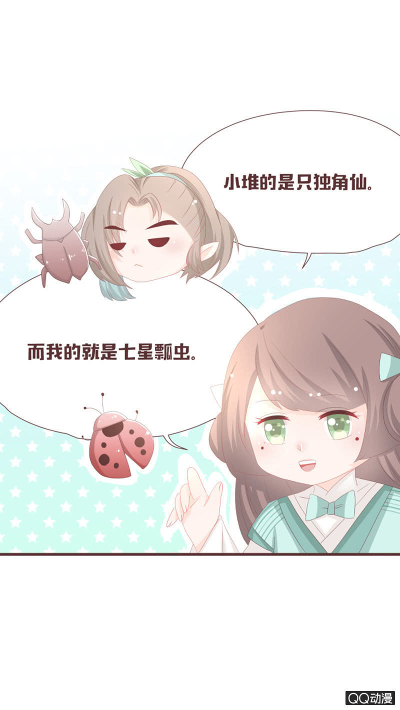 《花花小狐妖》干凝准备召唤 第13页