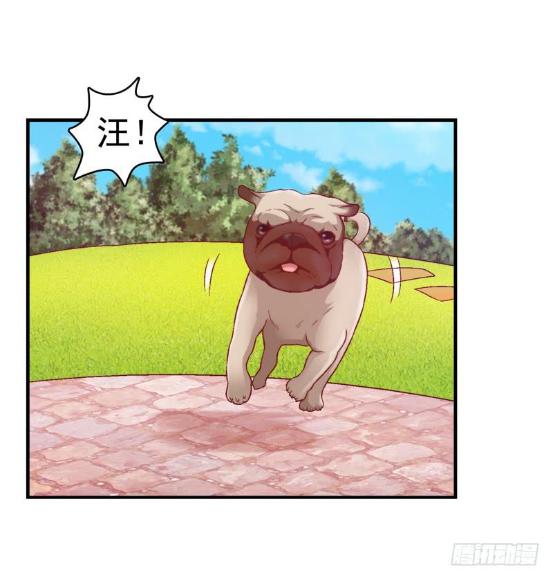 《做梦大师》再做一个好梦 第14页